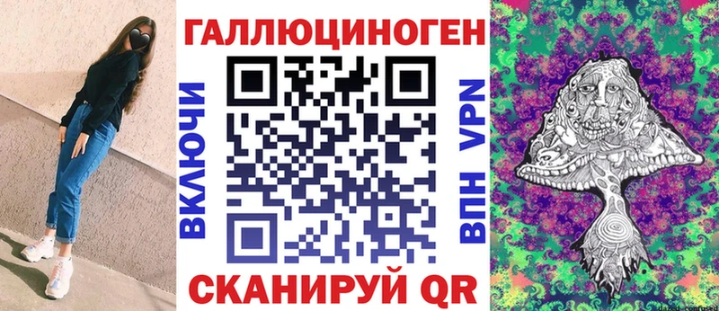 где найти   Перевоз  Псилоцибиновые грибы GOLDEN TEACHER 